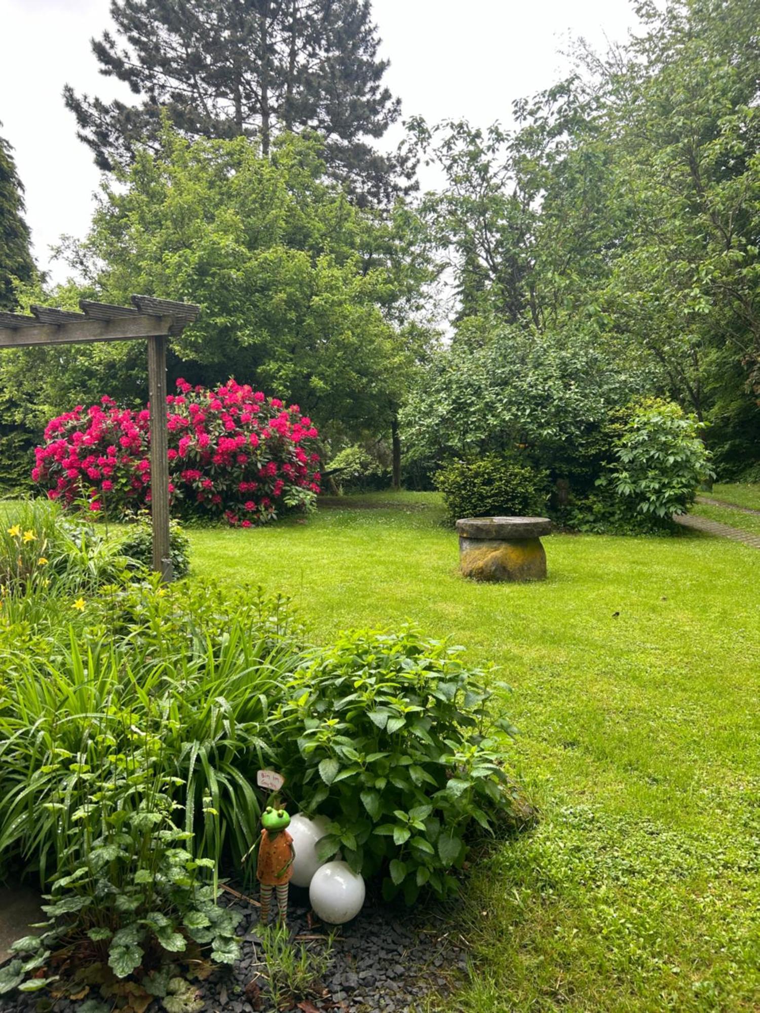 Ferienapartments Engeln Eifel Kempenich Eksteriør bilde